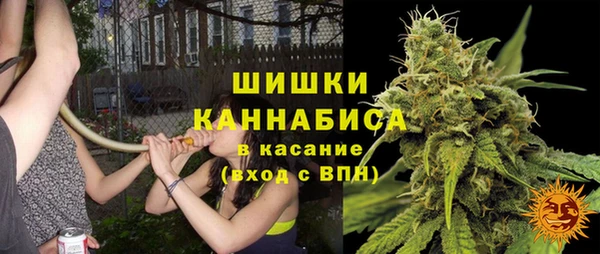 молекула духа Протвино