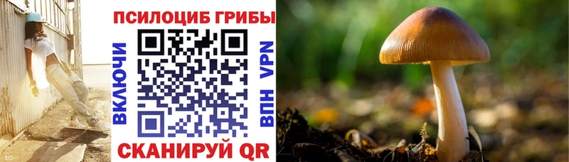 продажа наркотиков  Джанкой  Галлюциногенные грибы Psilocybine cubensis 