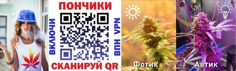 Шишки марихуана планчик  Джанкой 